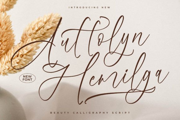 Auttolyn Hemilga: The Script Font That Stops the Scroll