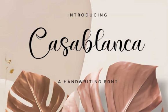 Casablanca Font Review: A Designer's Take on Script Amp's Latest
