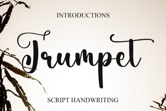 Trumpet Font: A Stylish Script for Memorable Branding